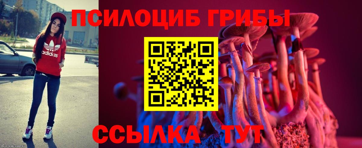 Саранск  Псилоцибиновые грибы мицелий  Вход с VPN 